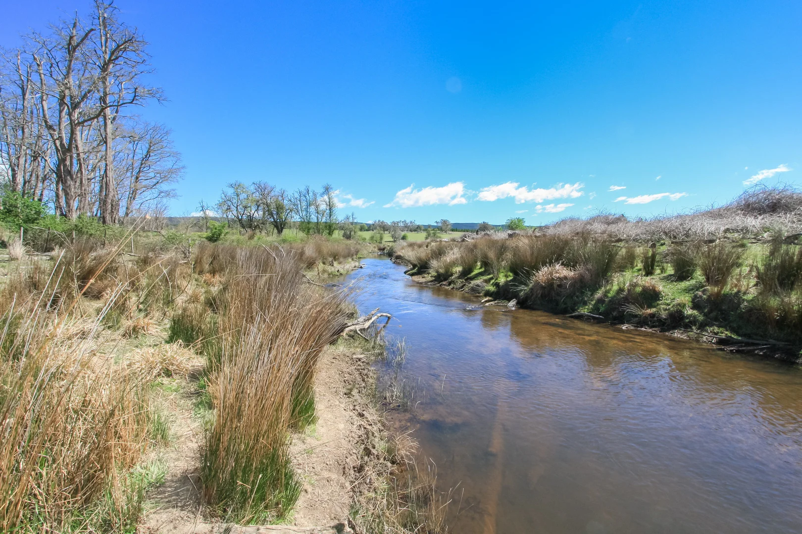 Additional image 25 of 171 Big Flat Road, Bombala NSW 2632