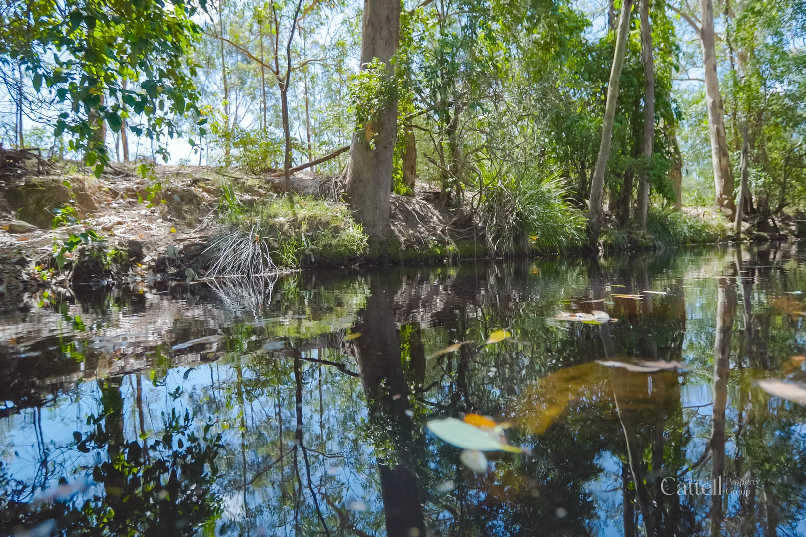 Additional image 11 of 60 Blue Bonnett Road, Lambs Valley NSW 2335
