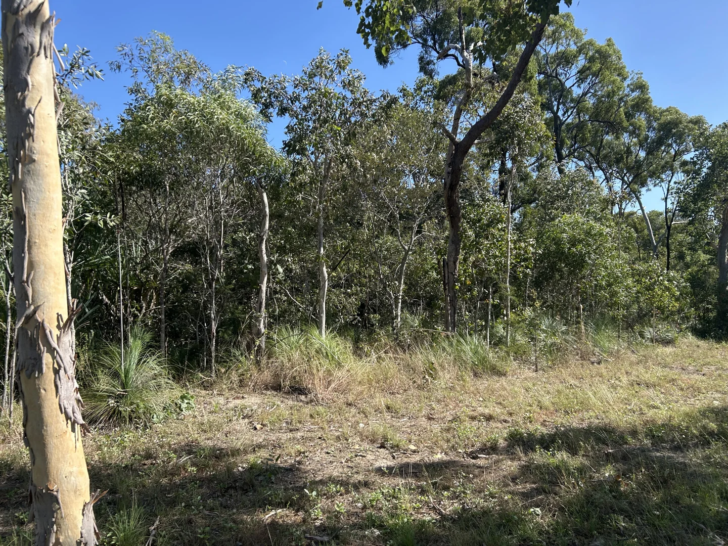 Additional image 4 of Lot 5 Conder Pde (Girawan), Laguna Quays QLD 4800