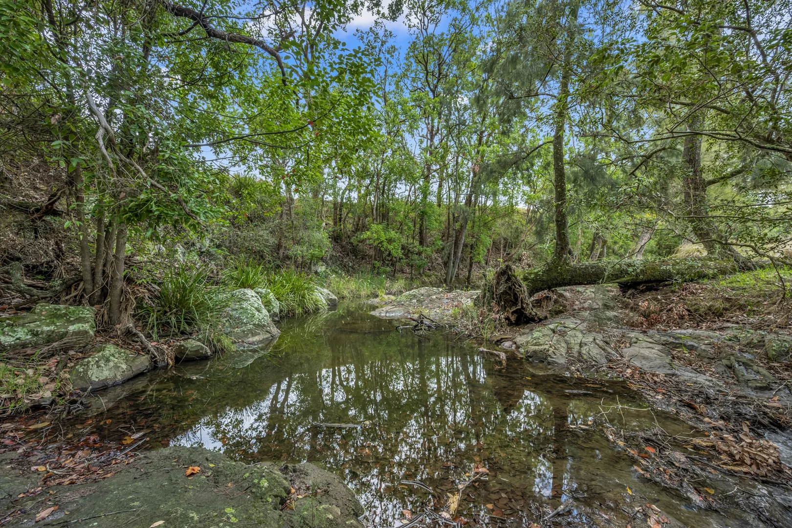 Additional image 23 of 1758 The Bucketts Way, Bakers Creek via, Gloucester NSW 2422