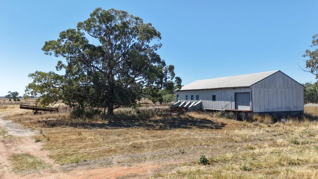 Additional image 29 of 128 Berida-Bullagreen Road, Collie NSW 2827
