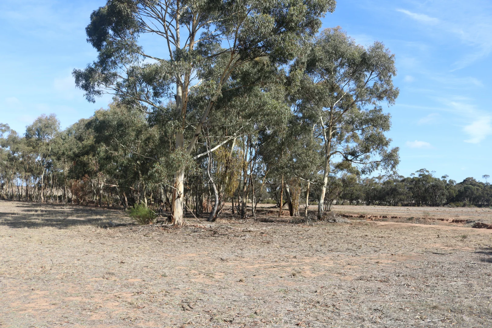 Additional image 17 of Old Boort Road, Wedderburn VIC 3518