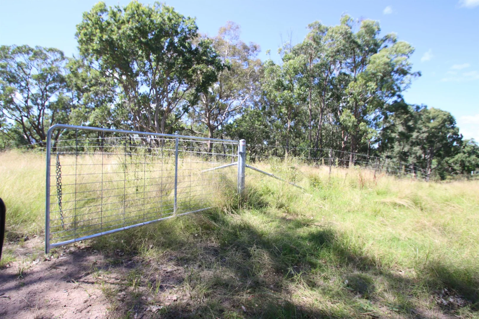 Additional image 19 of 1465 Billirimba Road, Tenterfield NSW 2372