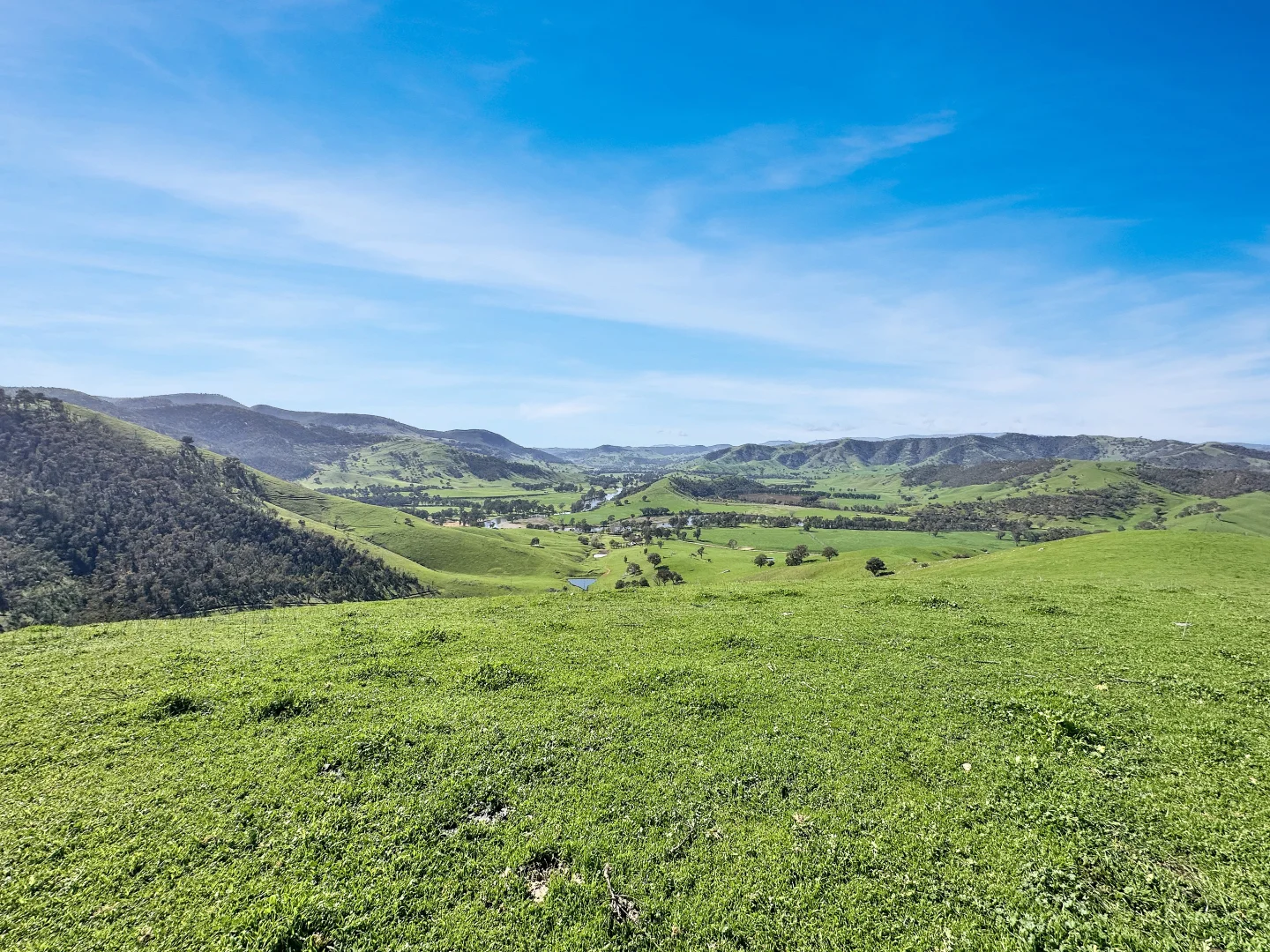 Additional image 9 of 5114 River Road, Jingellic NSW 2642