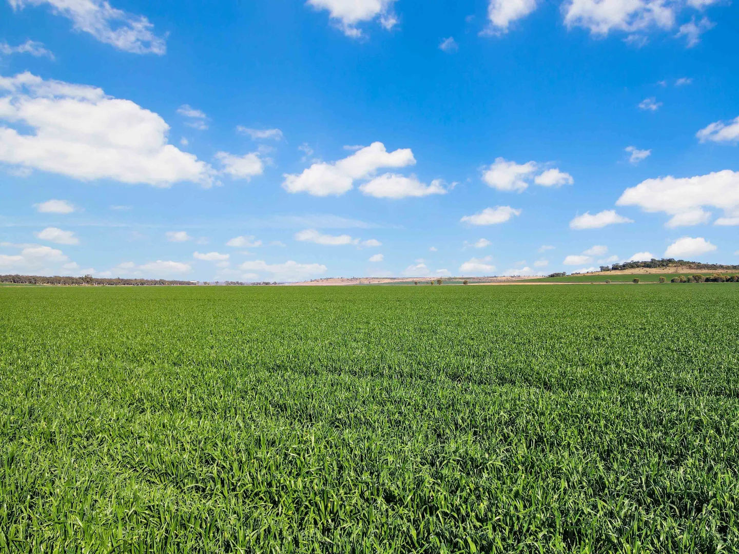 Additional image 8 of Croppa Creek NSW 2411