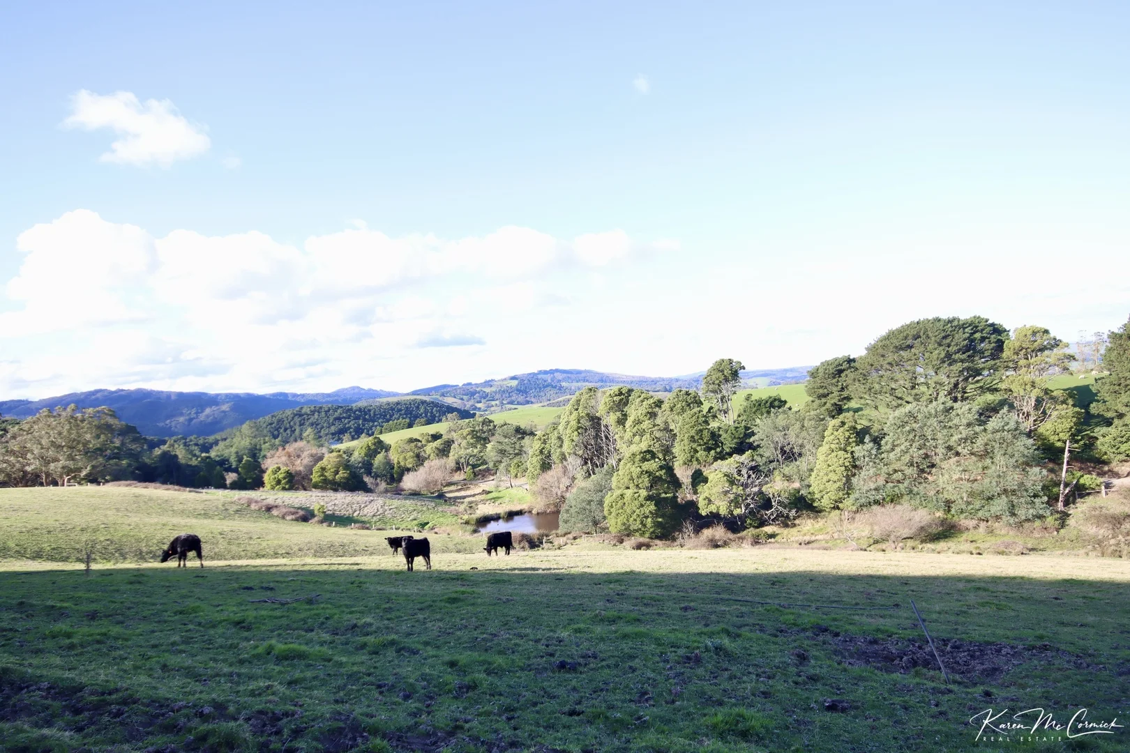 Additional image 5 of 200 Wonga Square Top Road, Wonga VIC 3960