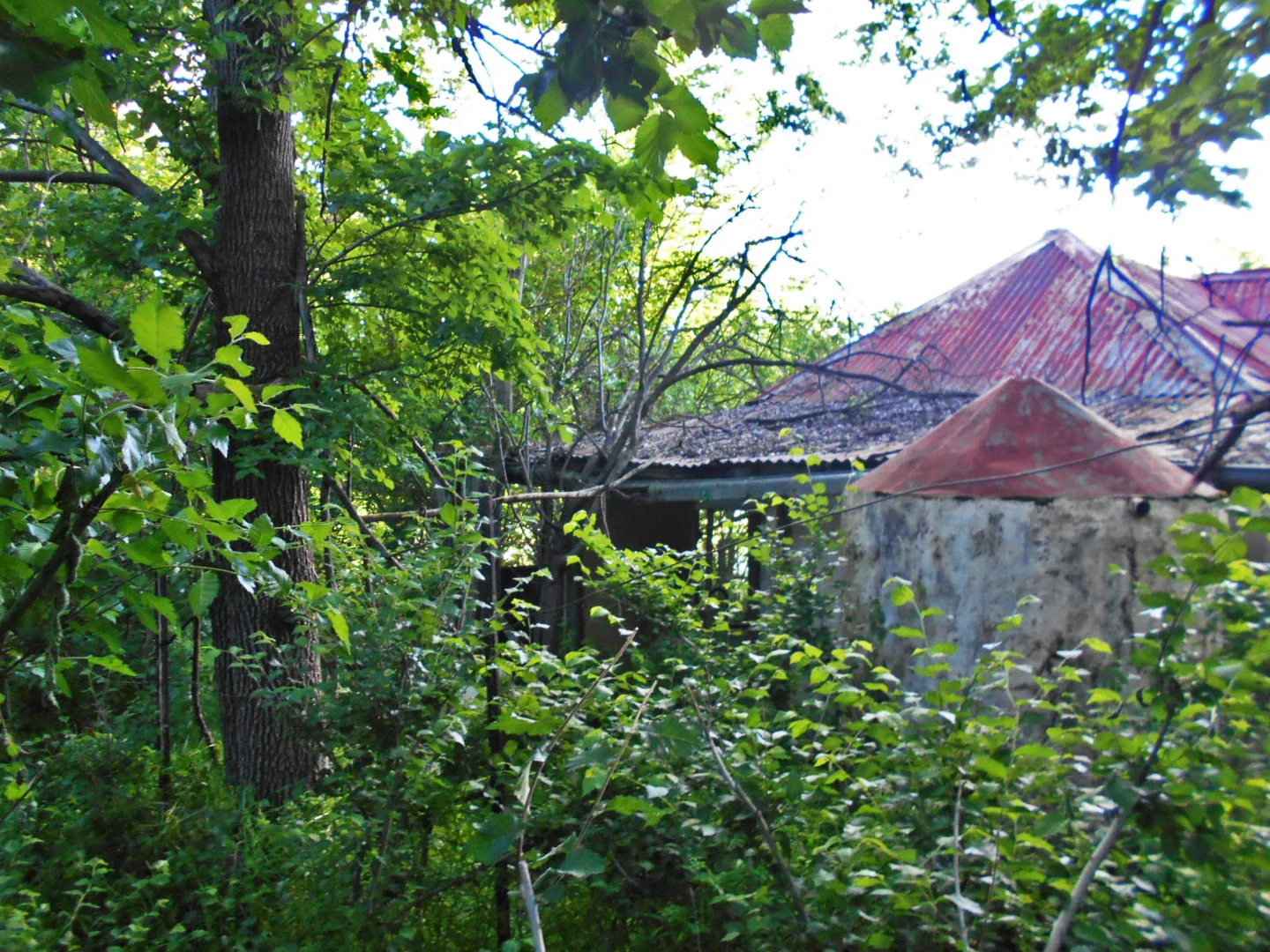 Additional image 5 of 30 Hanley & Moon Street, Gundagai NSW 2722