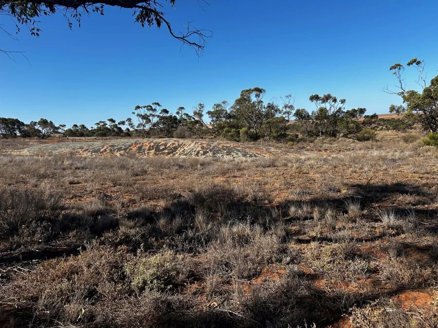 Additional image 3 of Section 30 Carmody Road, Midgee SA 5602