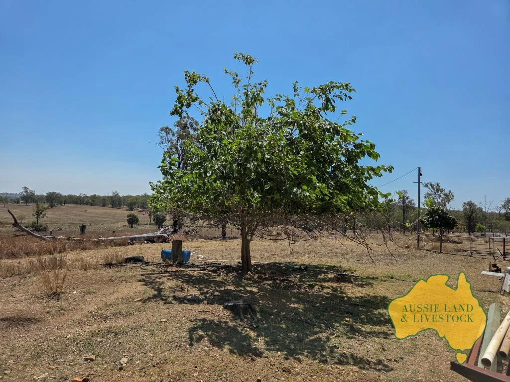 Additional image 39 of 110 BENHAMS ROAD, Mundubbera QLD 4626