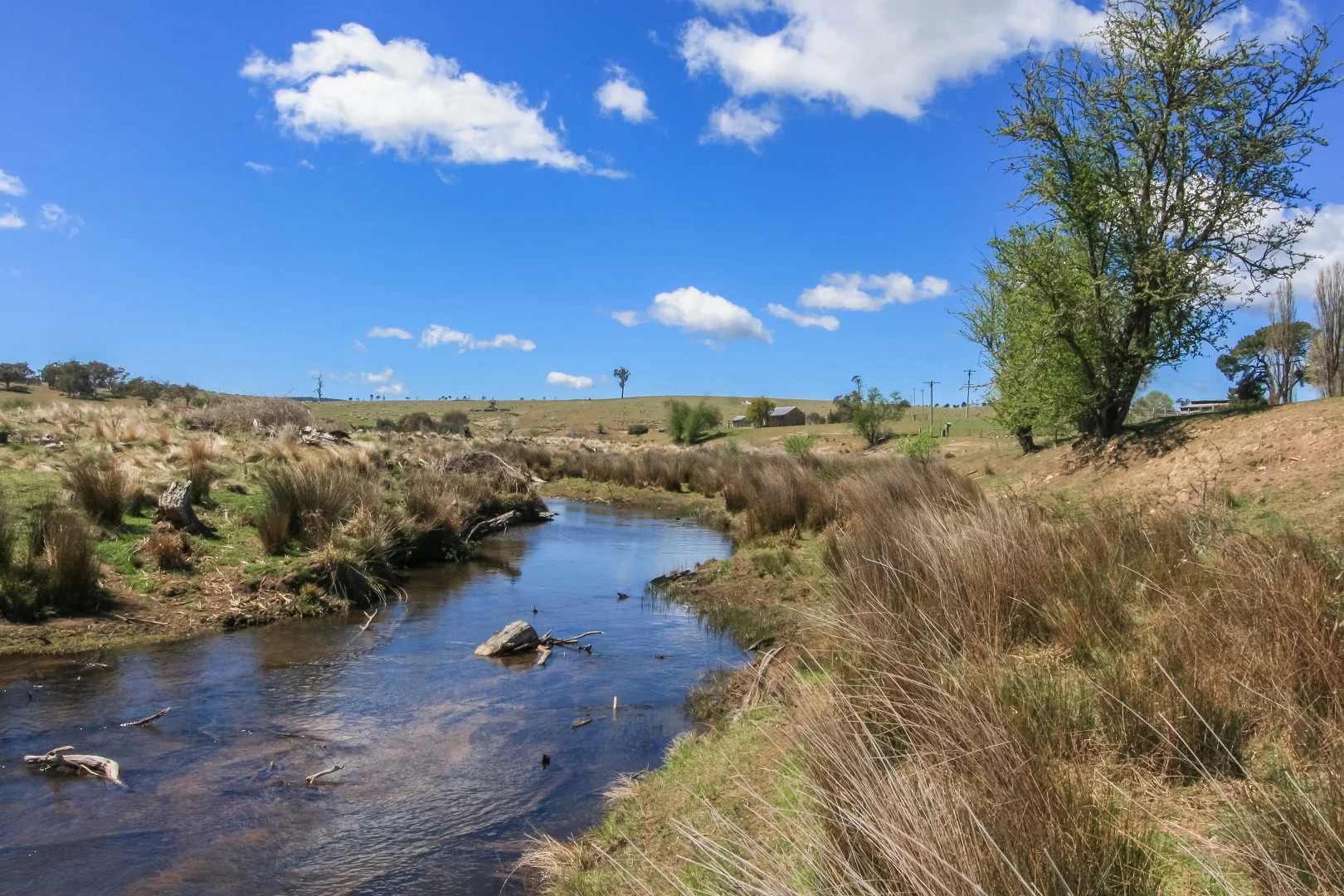 Additional image 24 of 171 Big Flat Road, Bombala NSW 2632