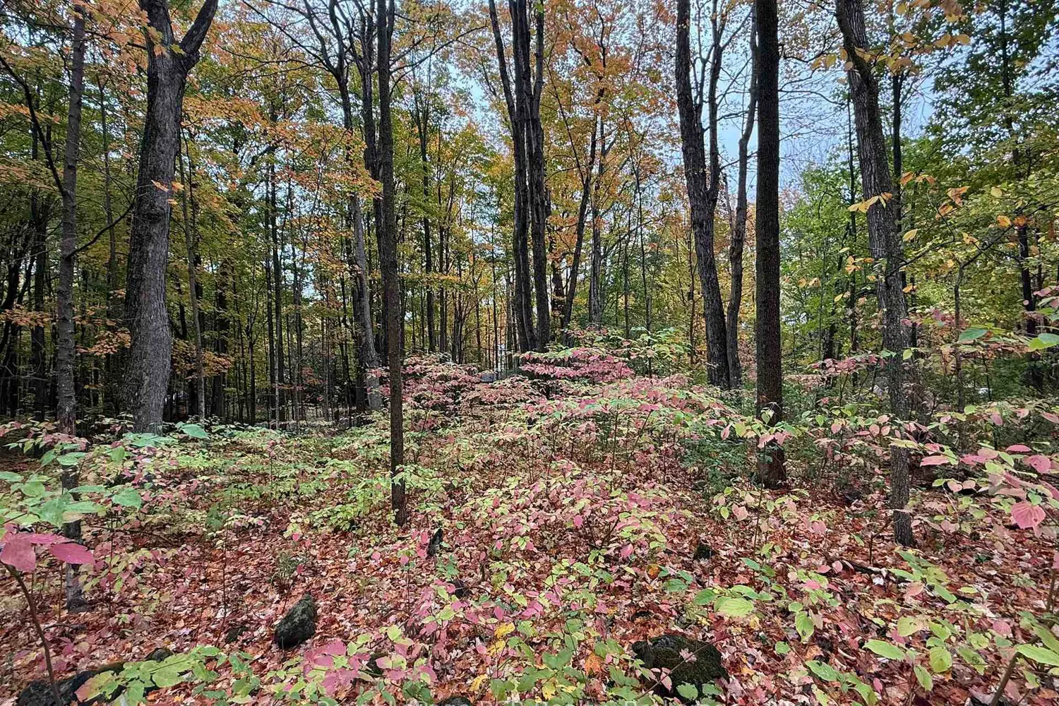 Additional image 17 of Lot 8 Green Acres Road
