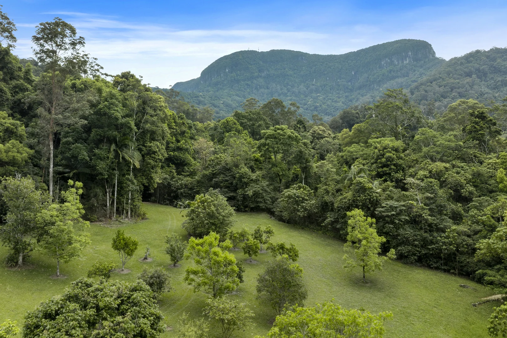 Additional image 3 of 192 Booka Road, Upper Crystal Creek NSW 2484