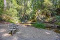 Additional image 40 of 1480 Hillside Dr, Boulder Creek, CA, 95006