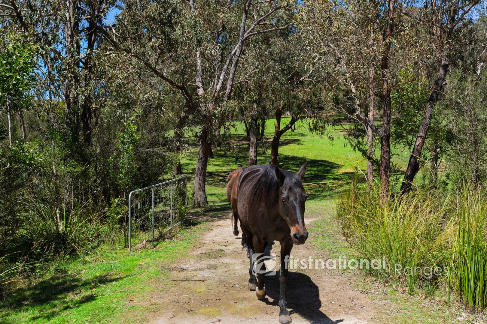Additional image 37 of 11 Cherry Road, Macclesfield VIC 3782