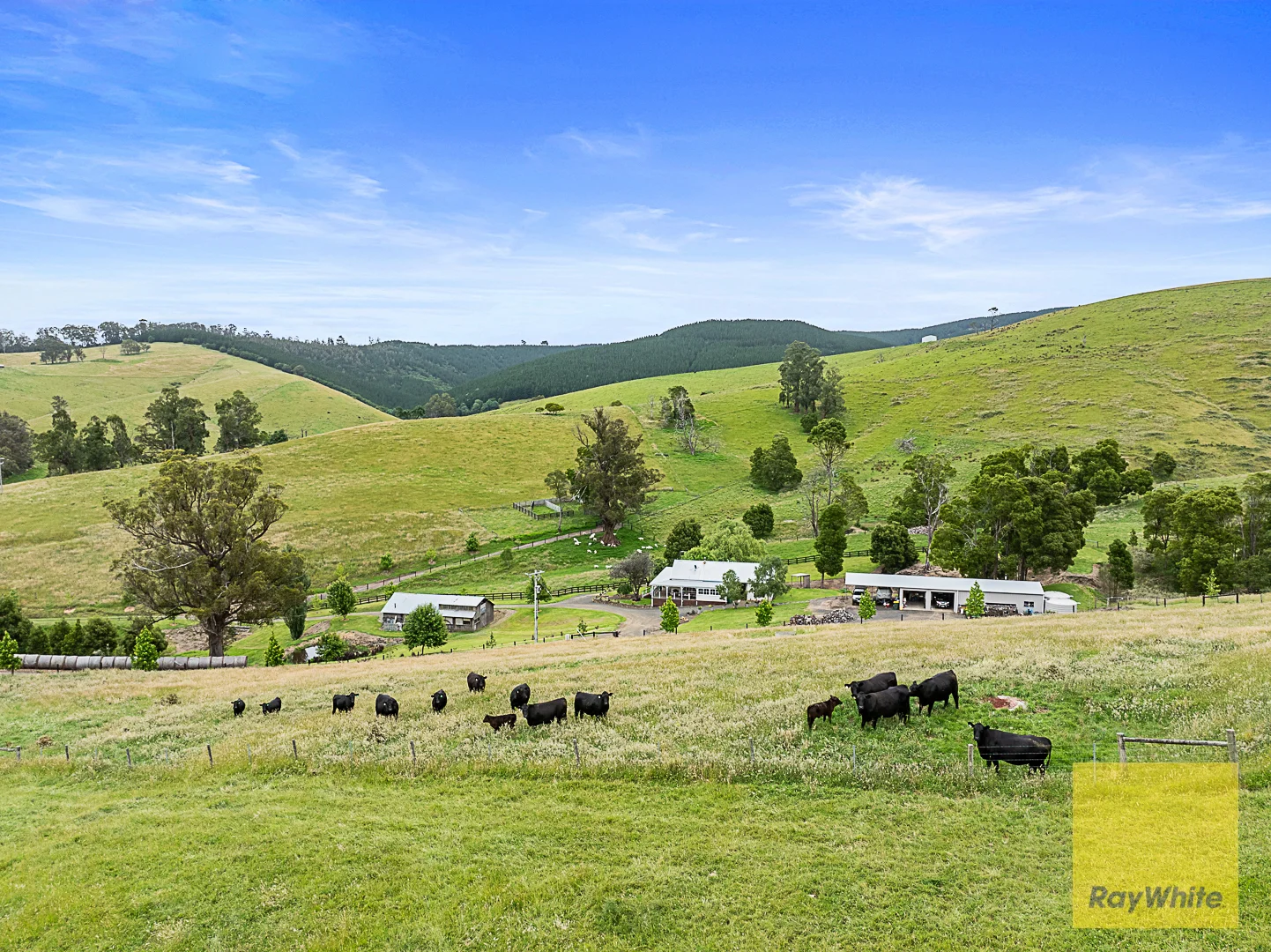 Additional image 23 of 127 Widdons Rd, Devon North VIC 3971