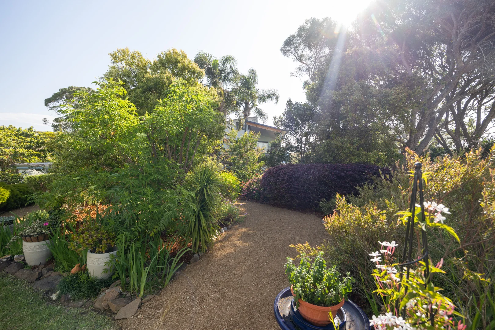 Additional image 23 of 3 Marloo Avenue, Bawley Point NSW 2539