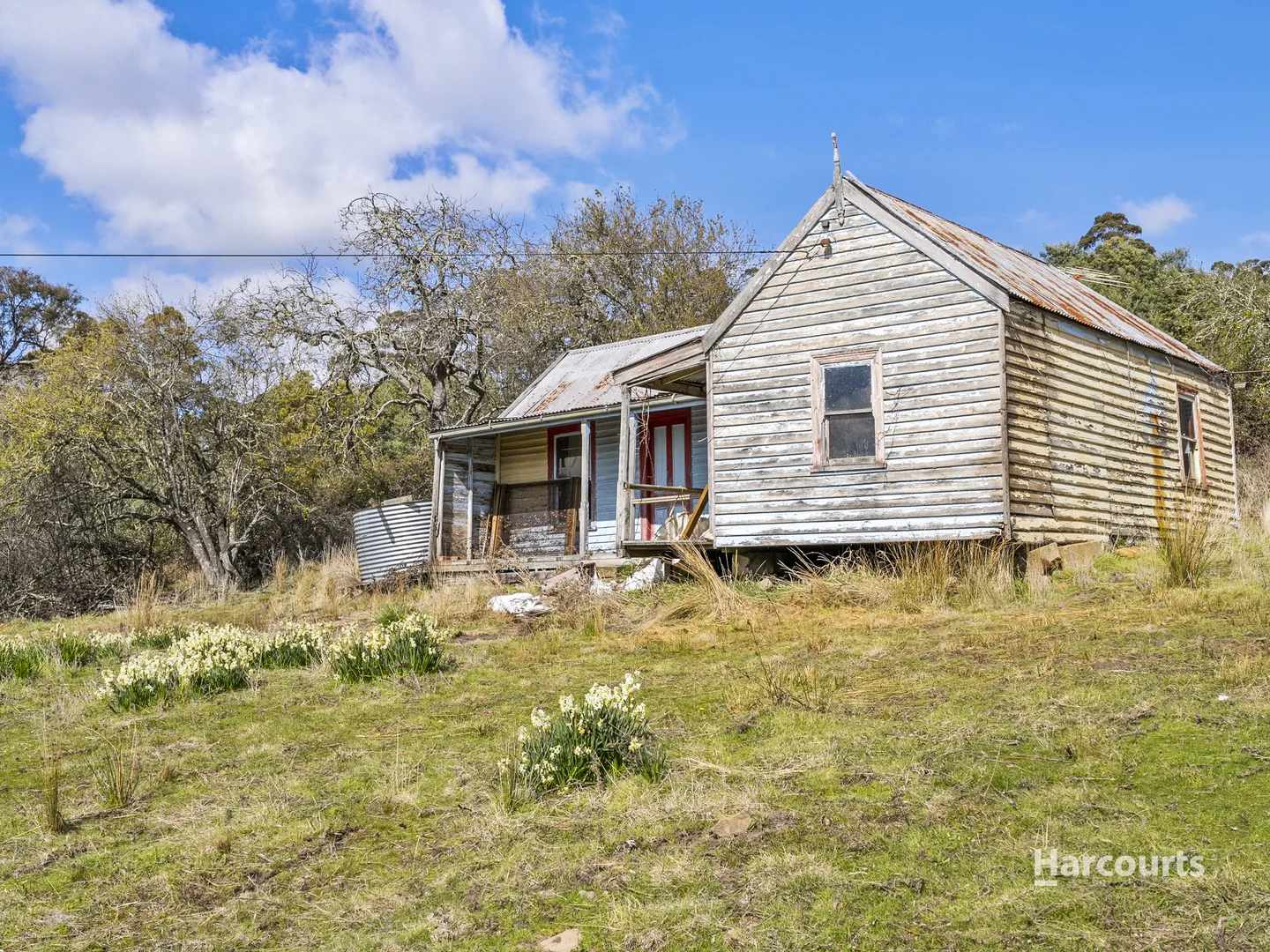 Additional image 4 of Lot 1/4115 Tasman Highway, Runnymede TAS 7190