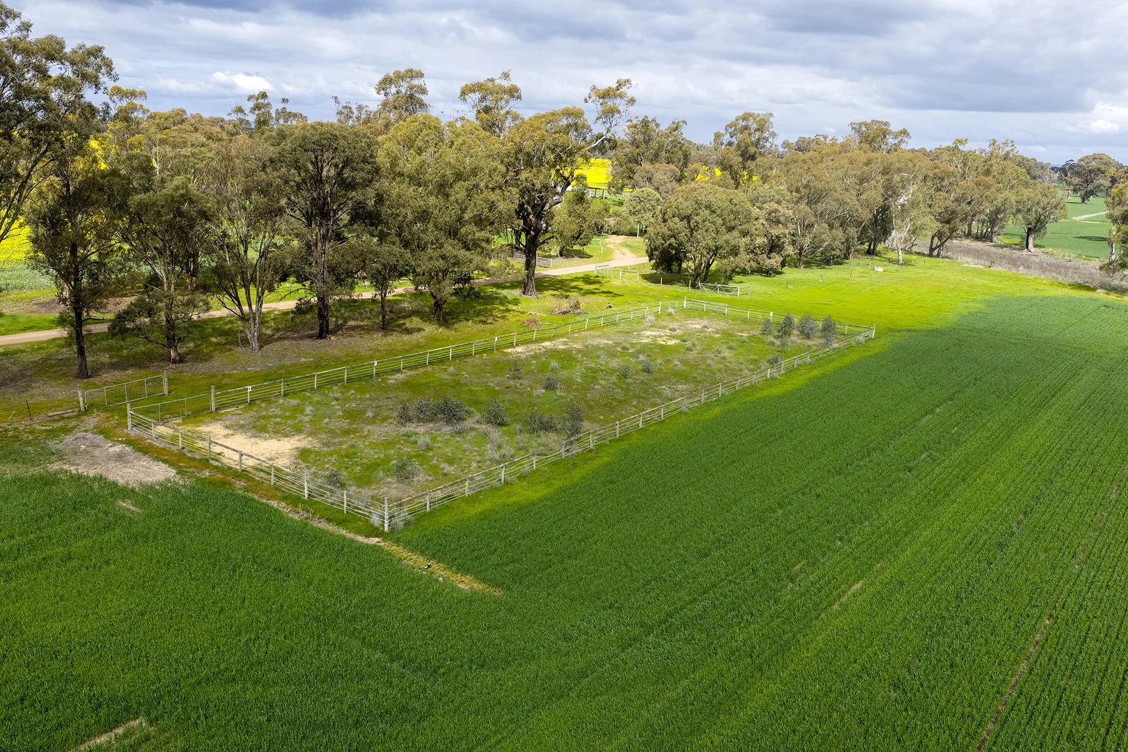 Additional image 8 of 250 Karramomus Road, Arcadia VIC 3631