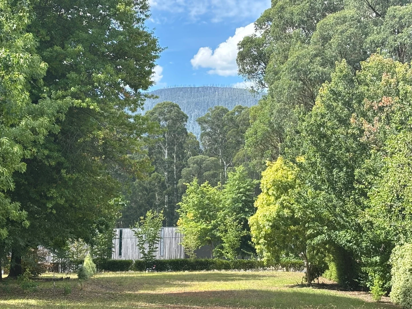 Additional image 5 of Lot 1/22 Falls Road, Marysville VIC 3779