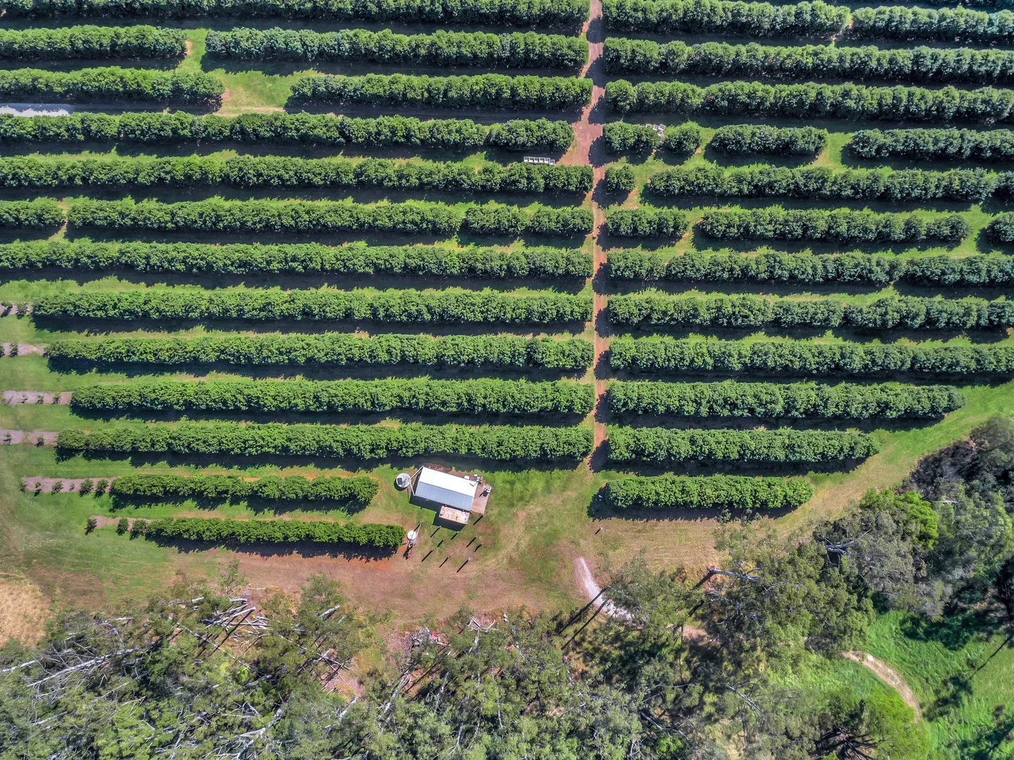 Additional image 6 of Pacific Highway, Eungai Creek NSW 2441