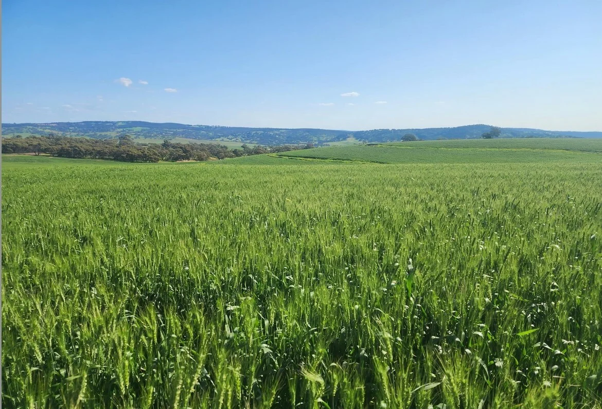 Additional image 3 of 142 Dumbarton Rd, Dumbarton WA 6566