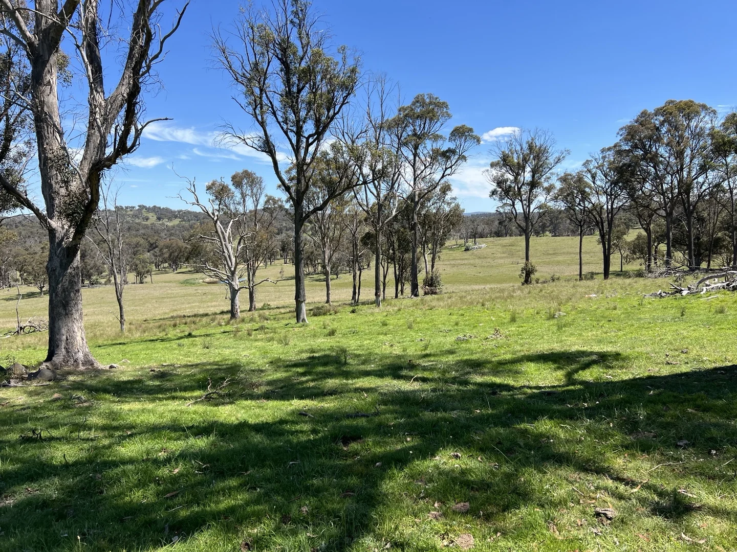 Additional image 6 of 860 Bullock Mountain Road, Yarrowford NSW 2370