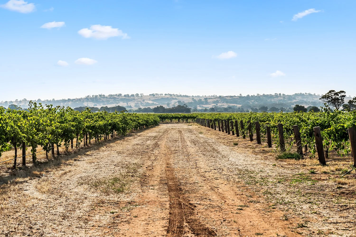 Additional image 16 of 14 Vine Vale Road, Tanunda SA 5352