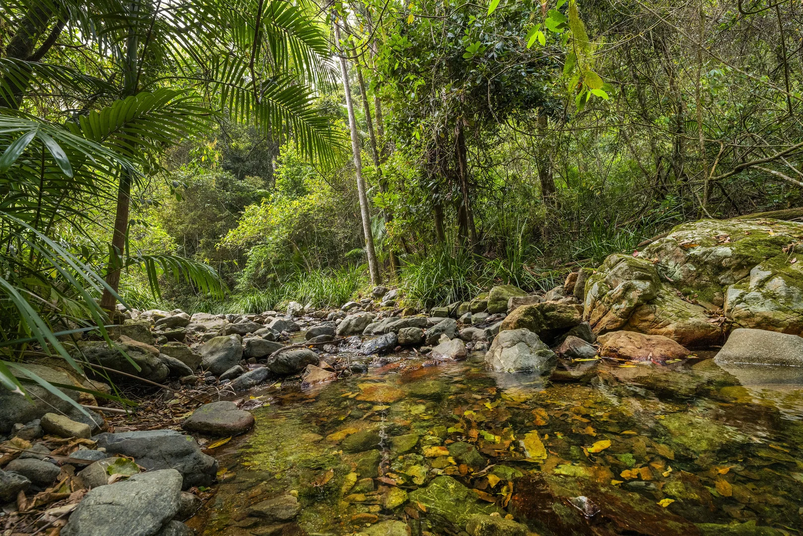 Additional image 15 of 109 Little North Arm Road, Bellingen NSW 2454