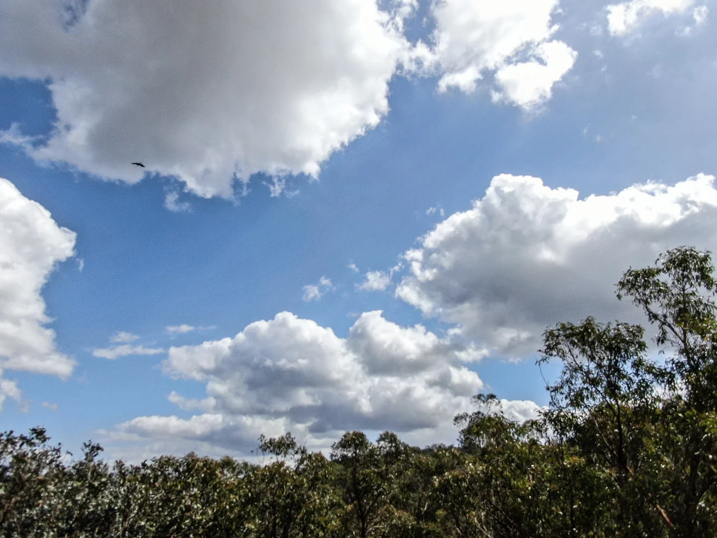 Additional image 3 of 71 Knackery Road, Valencia Creek VIC 3860