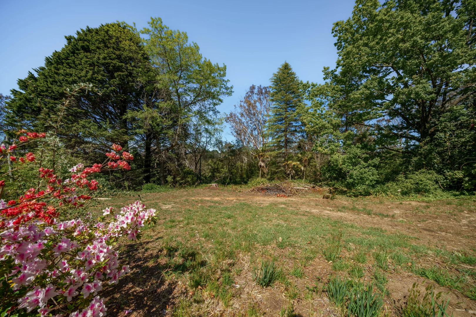 Additional image 4 of 1 Apanie Lane, Wentworth Falls NSW 2782