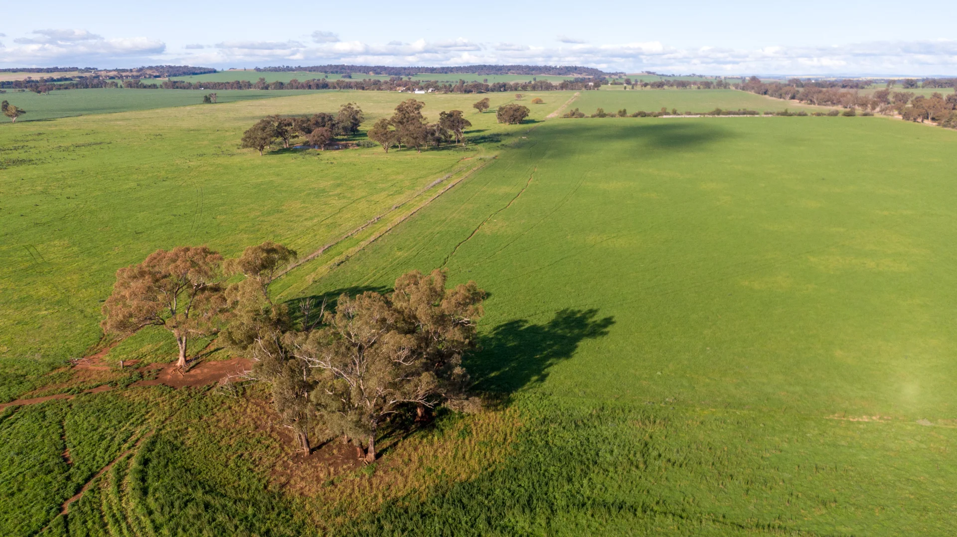 Additional image 11 of Kincora & Poachers Millwood Road, Coolamon NSW 2701