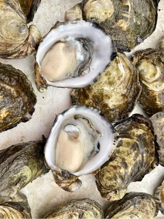 Additional image 17 of 100 Cockle Creek Road, Recherche TAS 7109