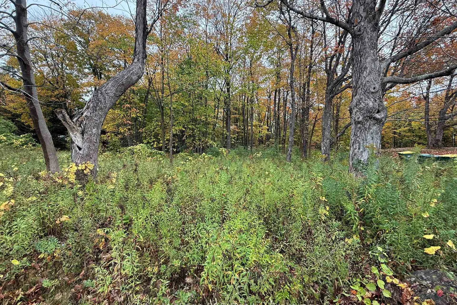Additional image 7 of Lot 8 Green Acres Road
