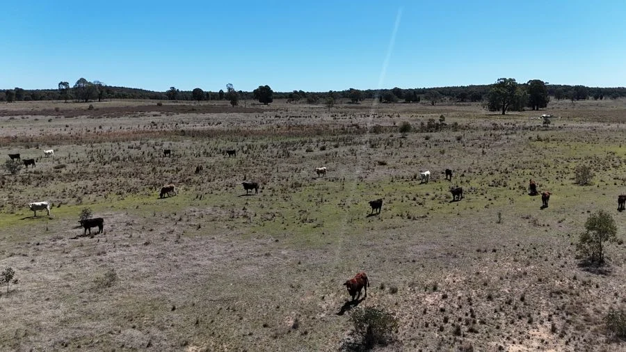 Additional image 25 of 188 Bullarook Road, Coolah NSW 2843