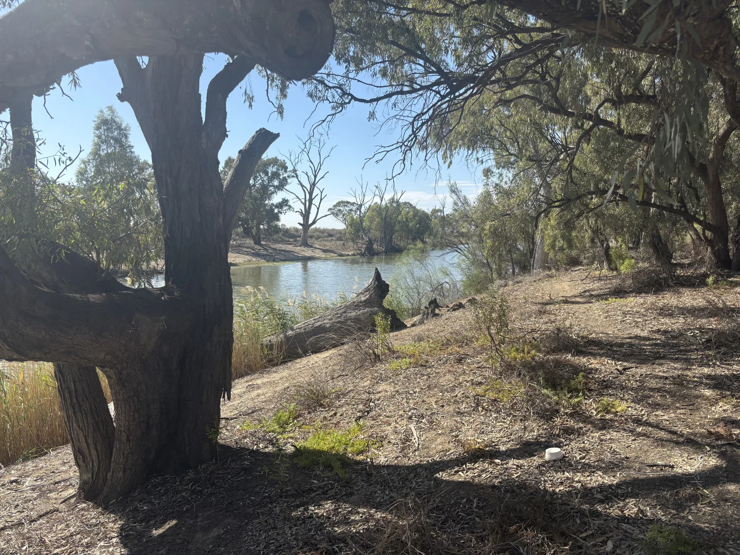 Additional image 13 of 43 Creek Road, Curlwaa NSW 2648