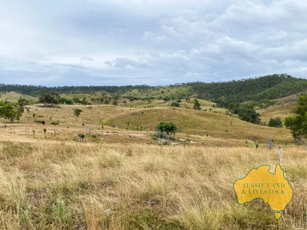 Additional image 29 of 59 MUNGY ROAD, Mungy QLD 4671