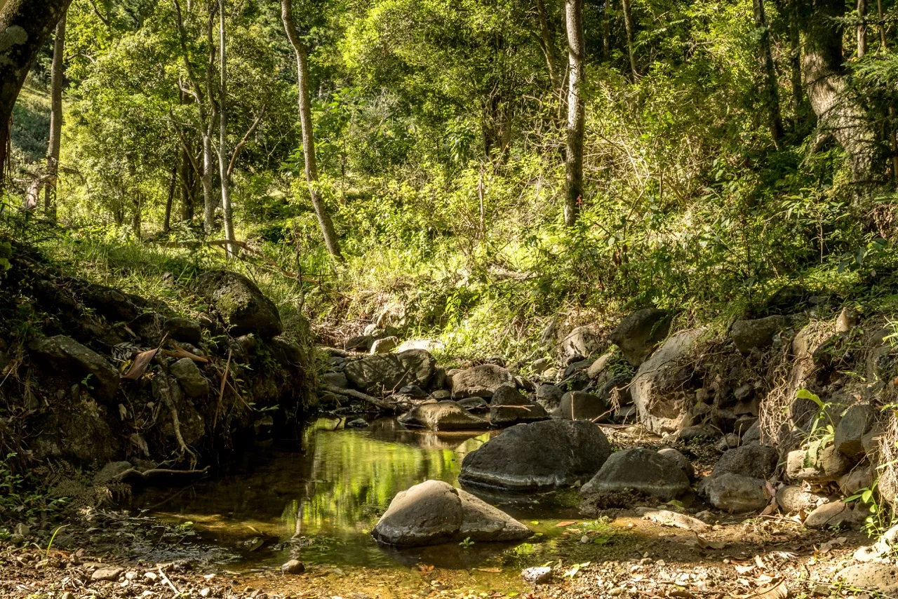 Additional image 4 of 2 Mount Gipps, Mount Gipps QLD 4285