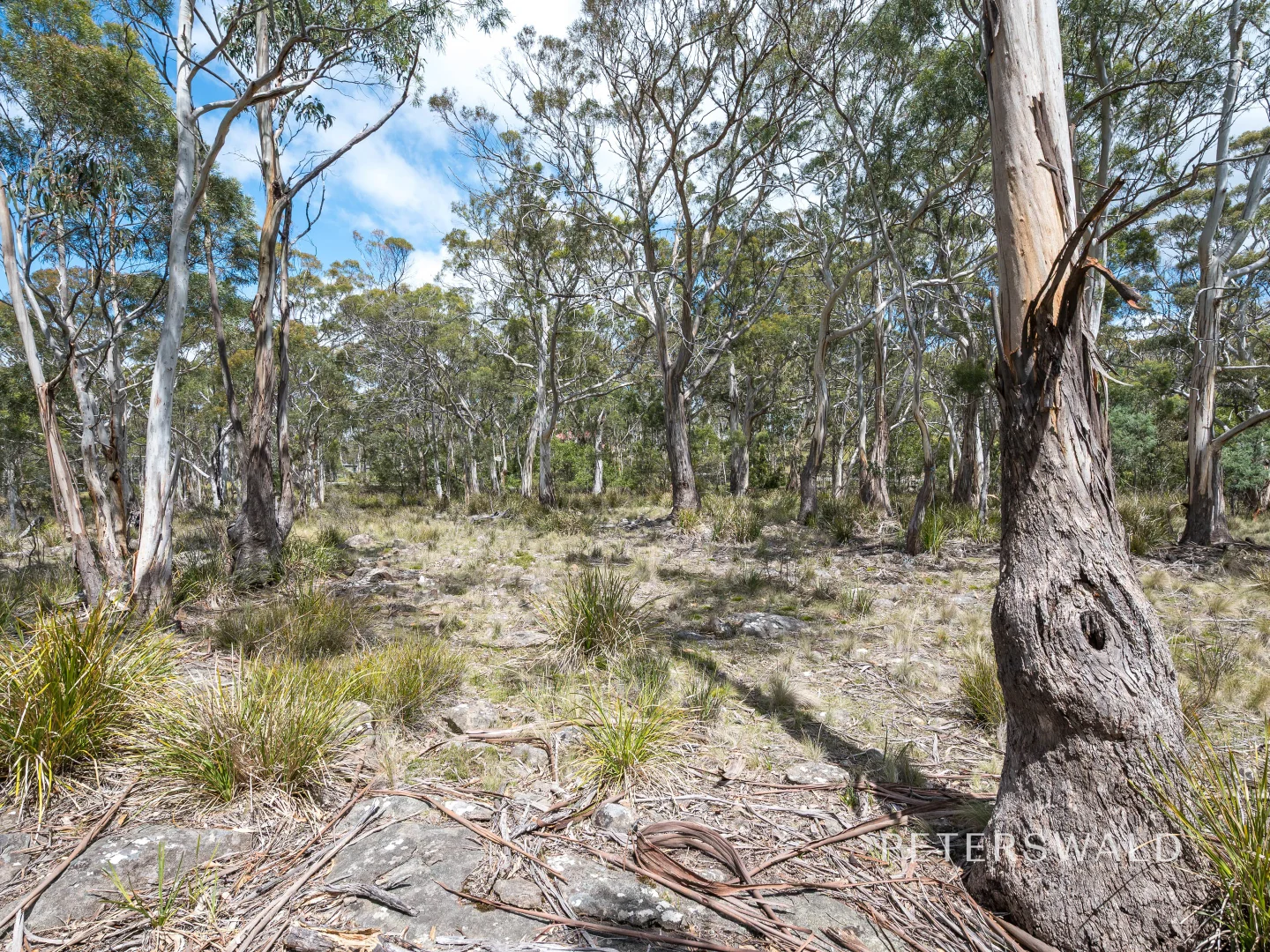 Additional image 2 of 626 Nelson Road, Mount Nelson TAS 7007