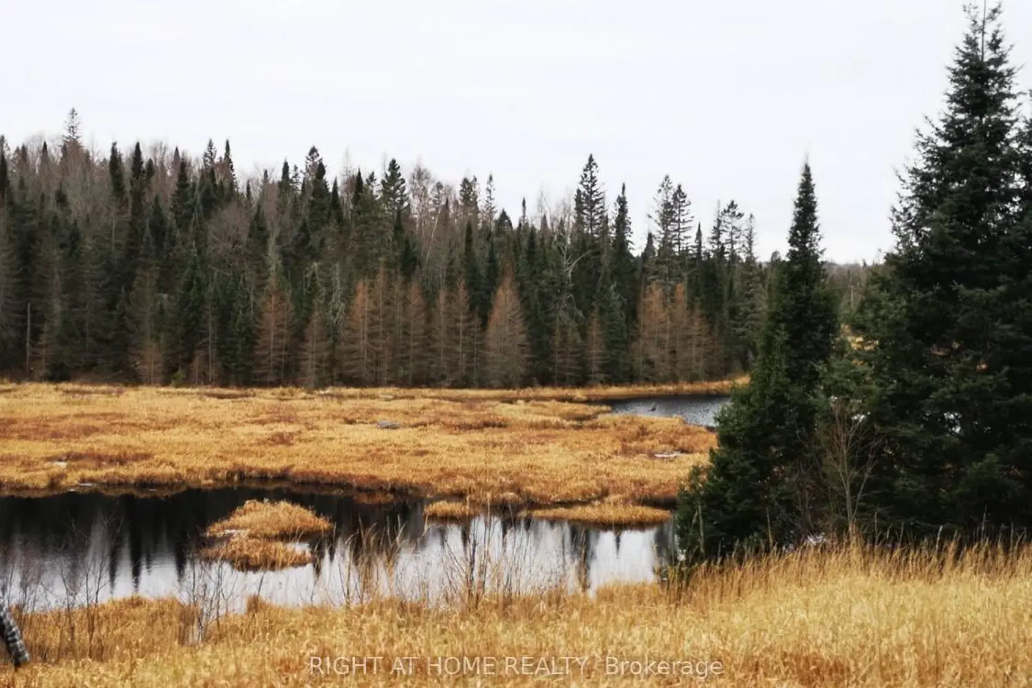 Additional image 8 of 2087 Machar Strong Boundry Road