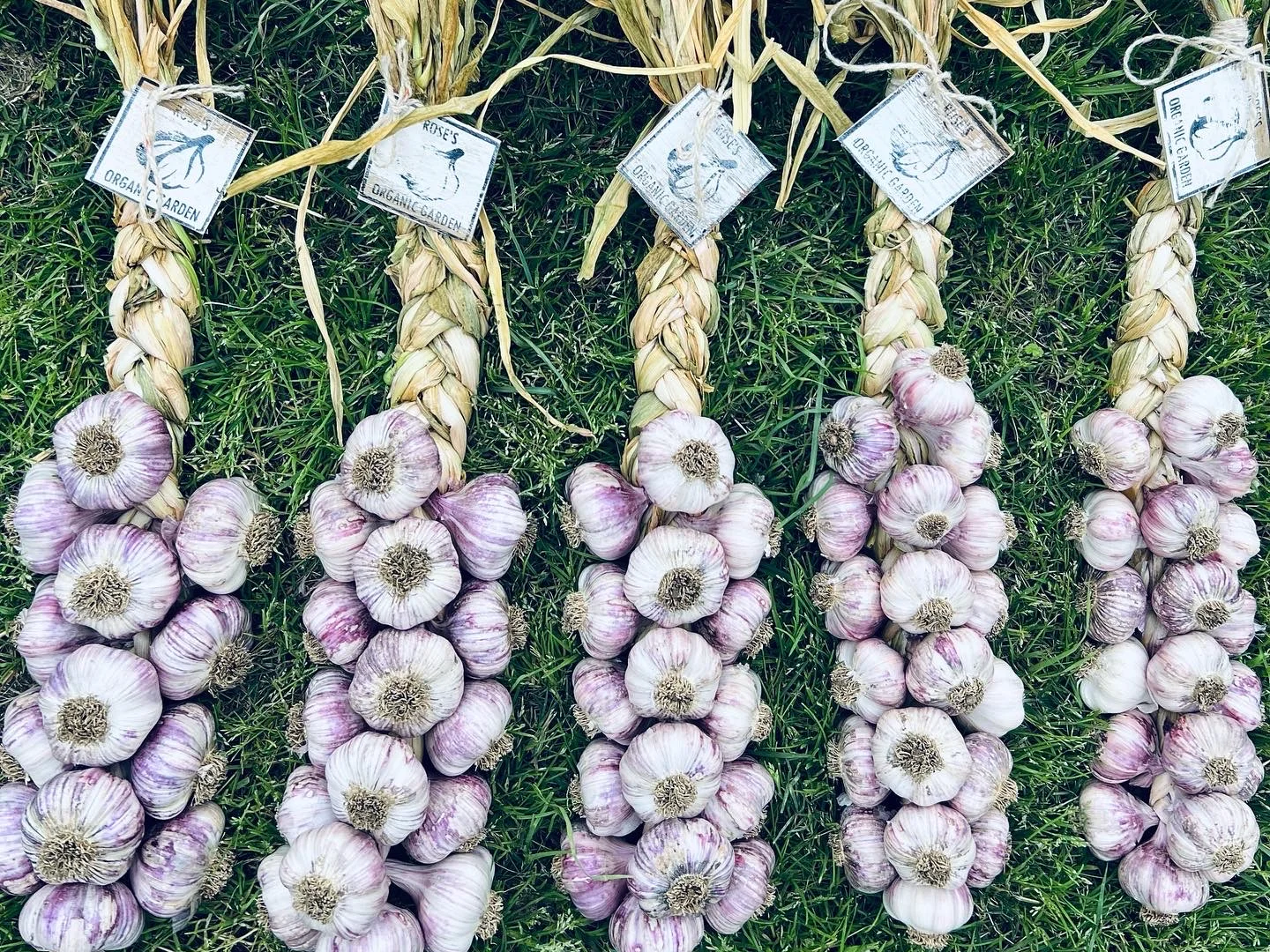 Additional image 23 of 12-18 Queen Street, Boorowa NSW 2586