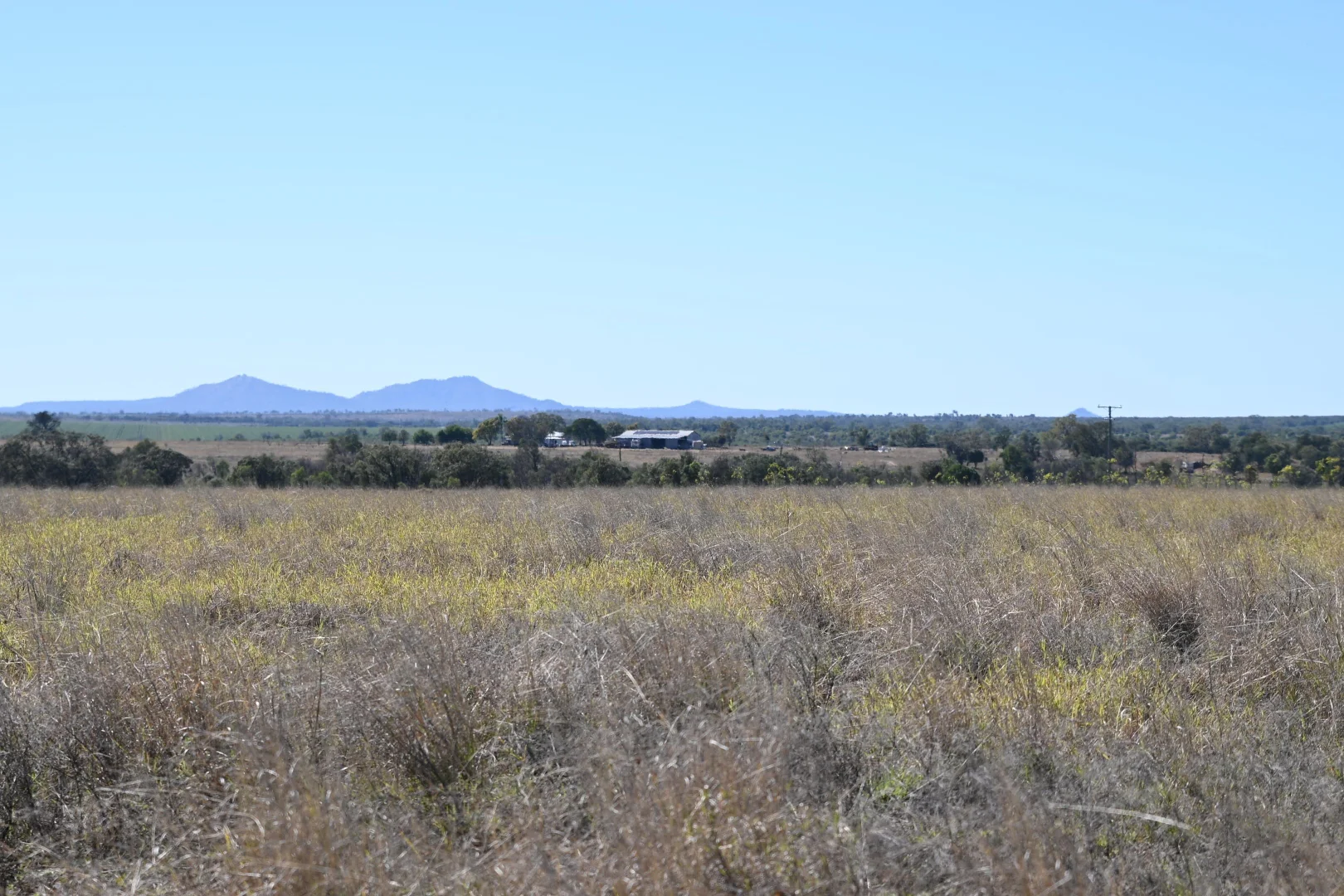 Additional image 29 of 102 Lowestoff Road, Capella QLD 4723