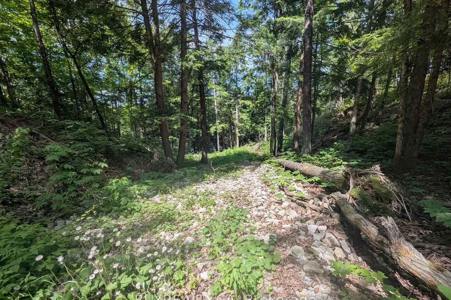 Additional image 3 of 2318 Sherwood Forest Lane