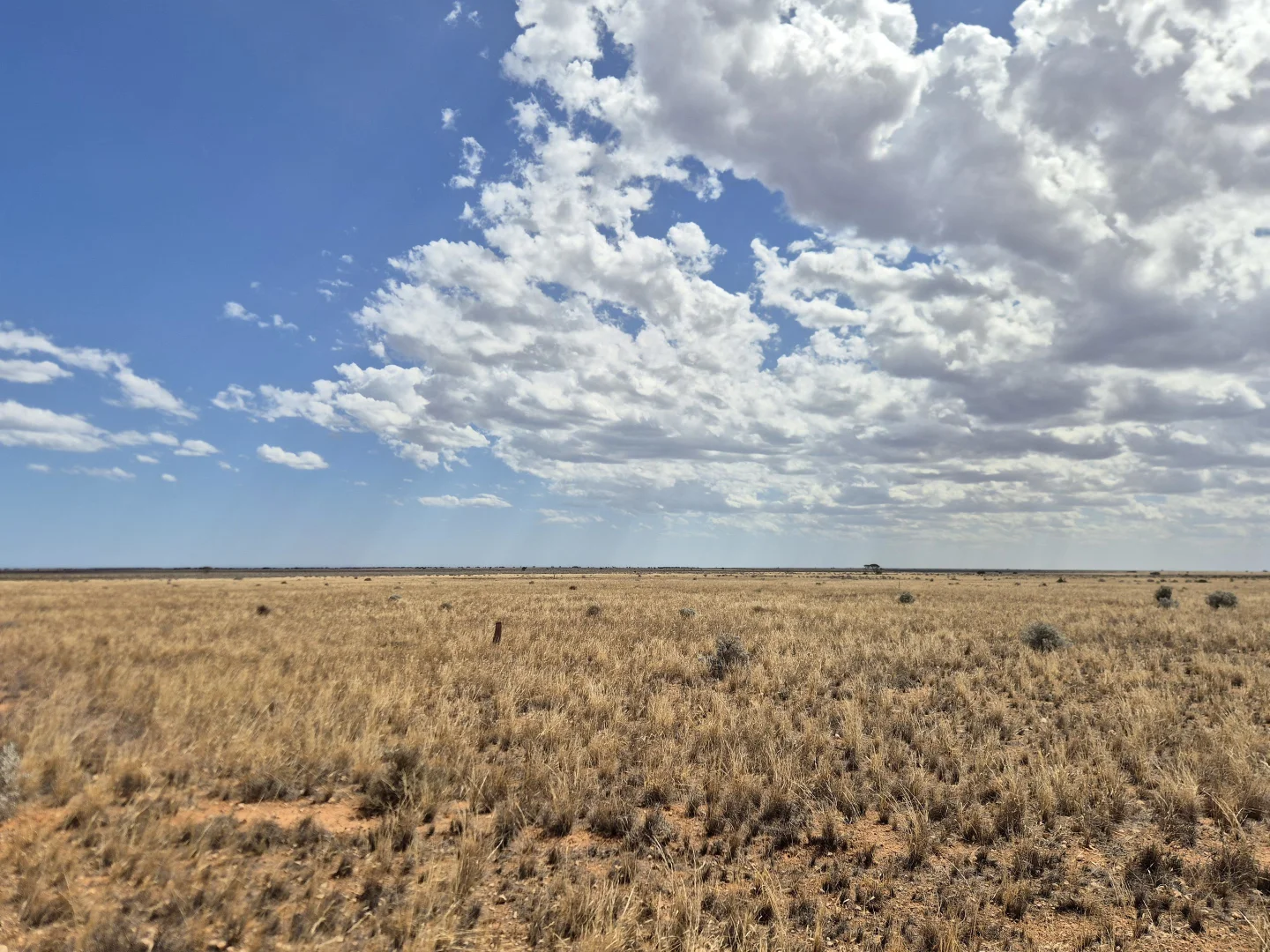 Additional image 7 of Eyre Highway, Dundas WA 6443