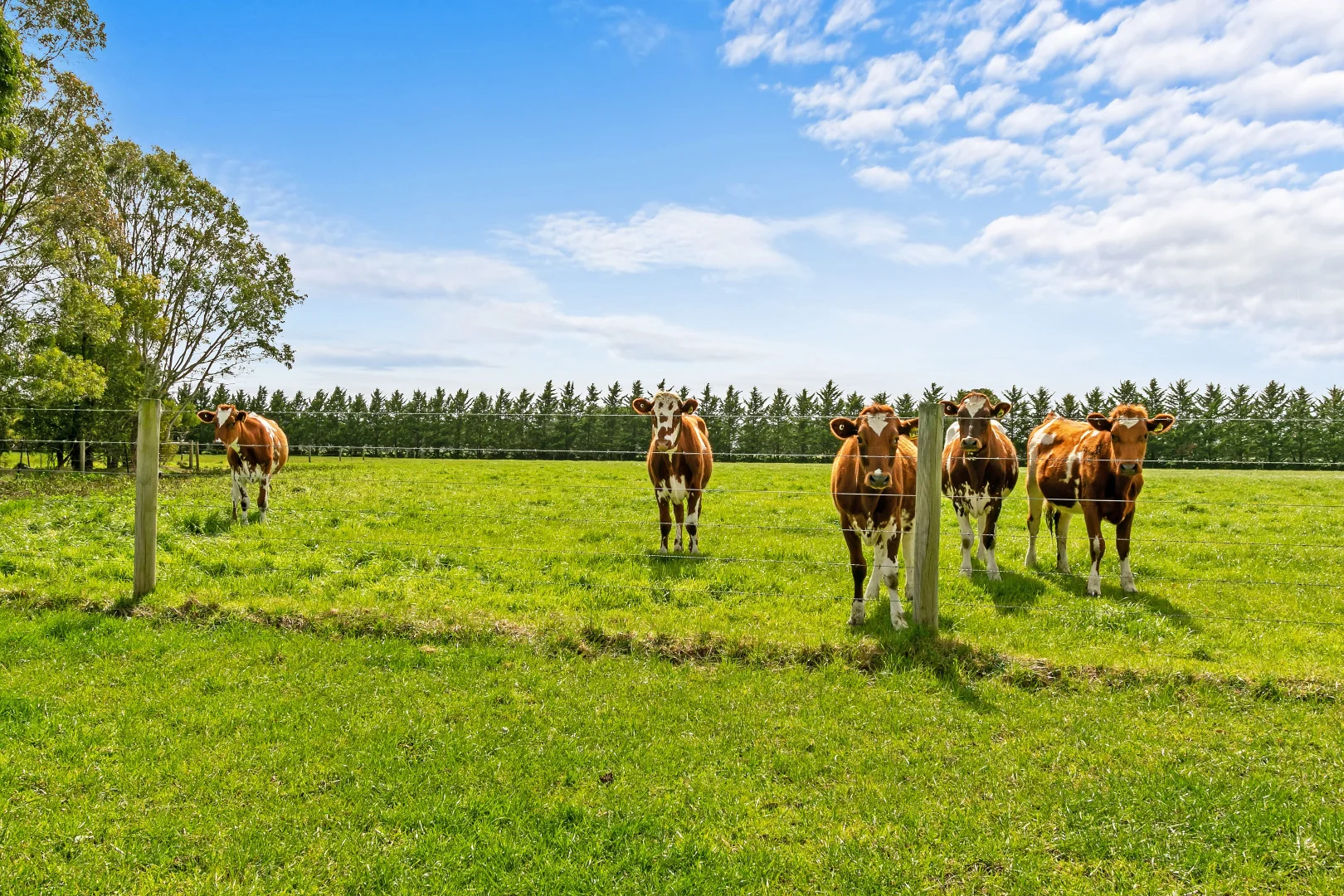 Additional image 32 of 90 Rifle Range Road, Glengarry VIC 3854