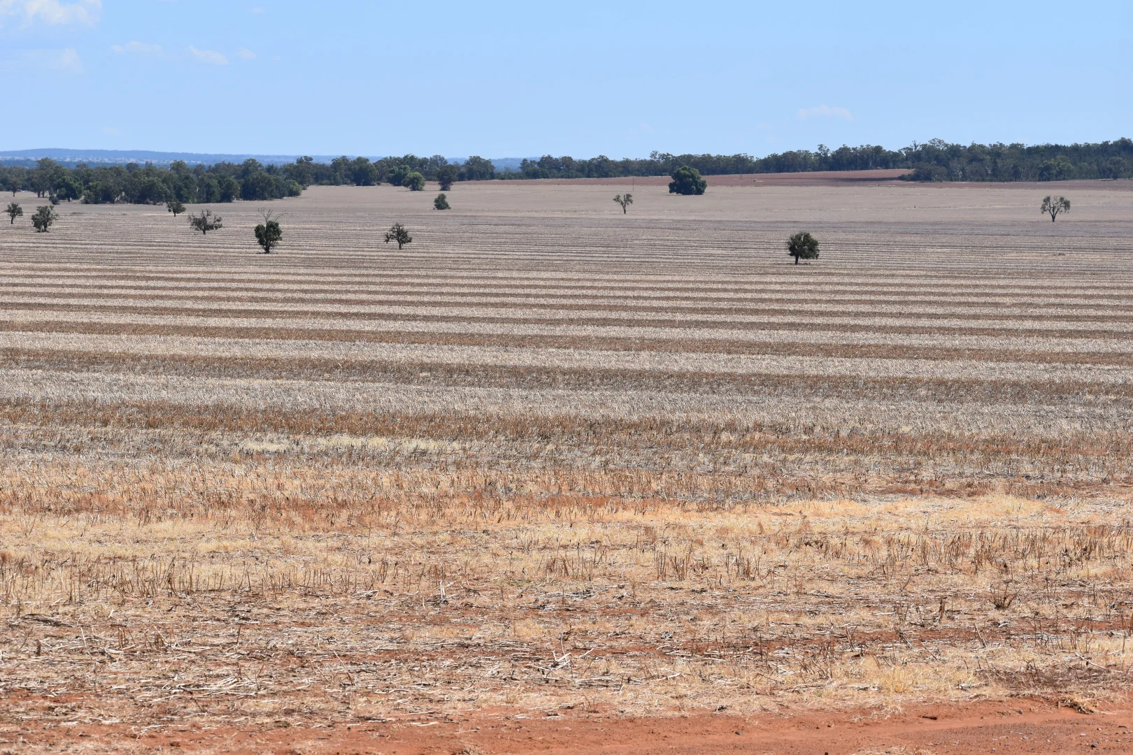 Additional image 24 of 2190 Yarrabandai Road, Trundle NSW 2875