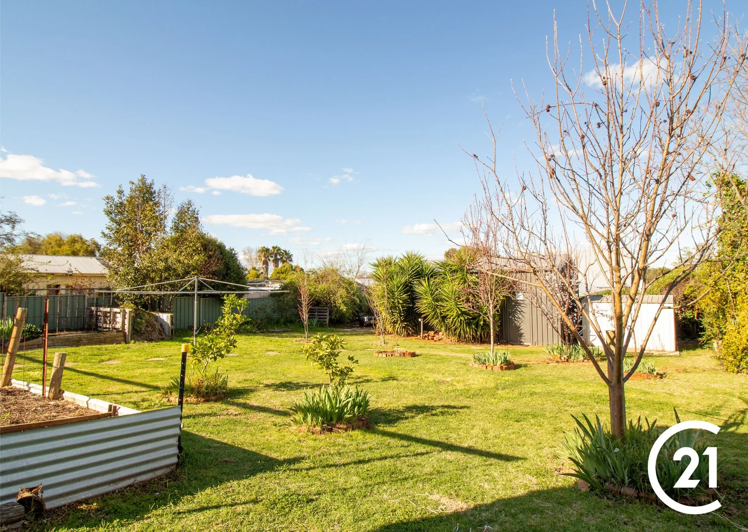 Additional image 24 of 100 Flint Street, Forbes NSW 2871