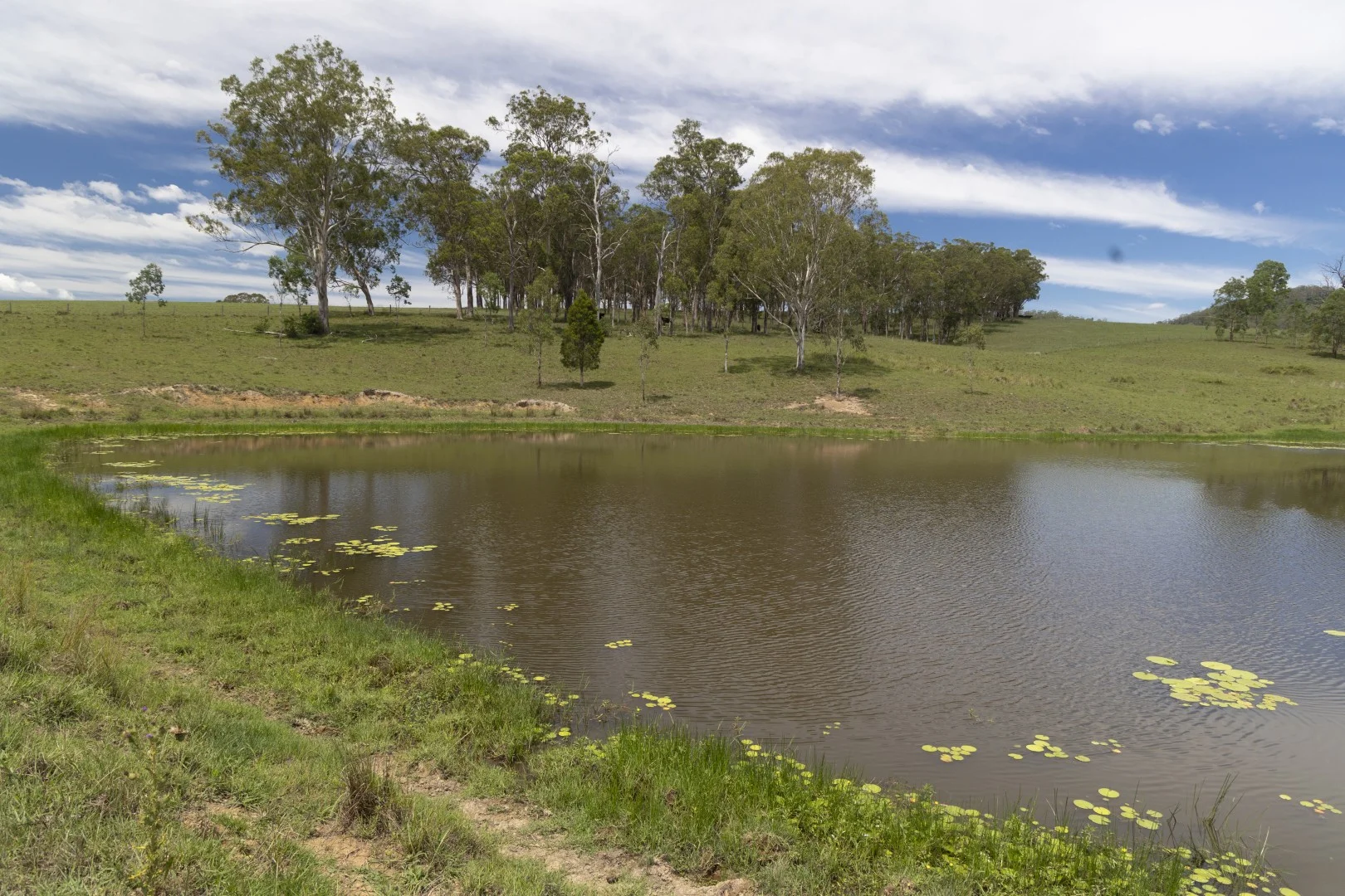 Additional image 12 of 659 Bakers Creek Road, Gloucester NSW 2422