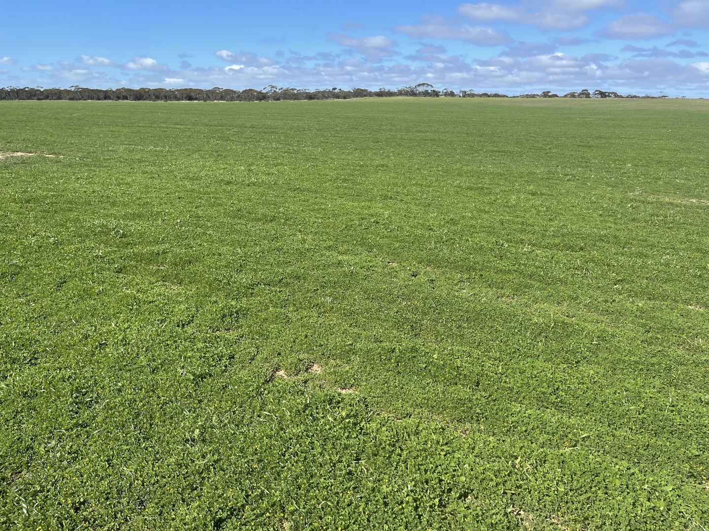 Additional image 4 of Lot 2 Palabie Road, Wudinna SA 5652