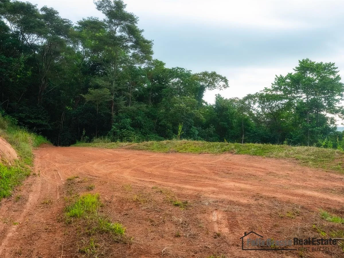 Additional image 19 of 31 Harvey Road, Redlynch QLD 4870