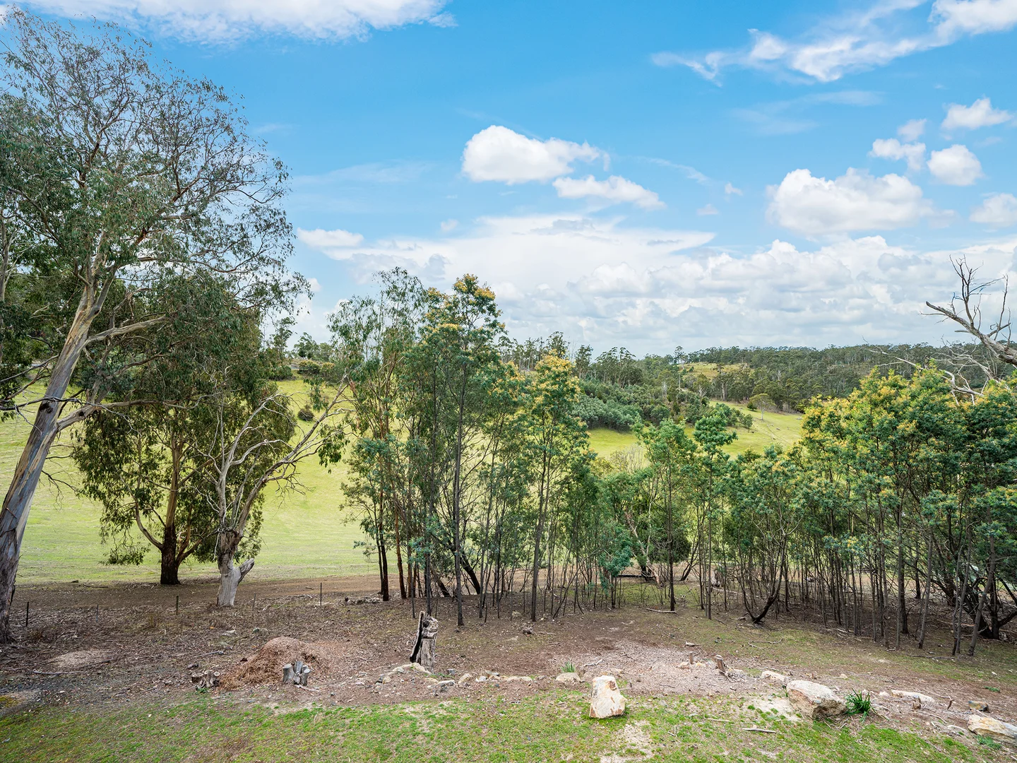 Additional image 33 of 338 White Hill Road, Forcett TAS 7173